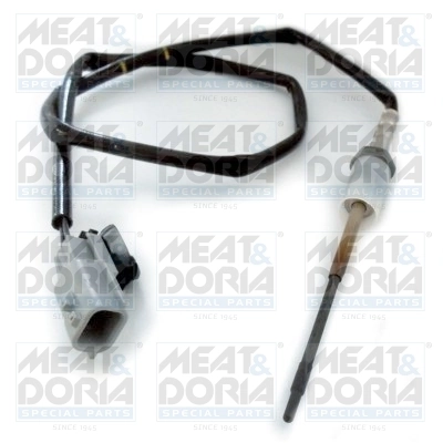 Sensor, exhaust gas temperature